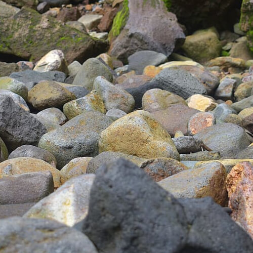 Various rocks