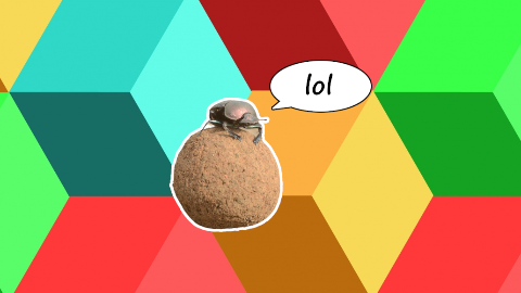 A dung beetle walks into a bar and asks, Excuse me, is this stool taken?