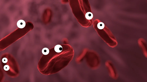 Did you hear about the red blood cells that fell in love and planned to elope? Alas, it was all in vein.