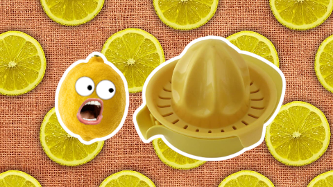 How do you care for a sick lemon? Give it lemon aid!