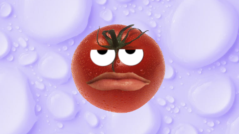 How do you fix a broken tomato? With tomato paste!