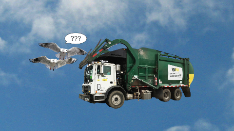 What has wheels and flies? A garbage truck!