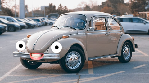 What is an entomologist's favorite car? A Volkswagen Beetle, of course!