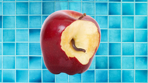 What's worse than finding a worm in your apple? Finding half a worm in your apple!